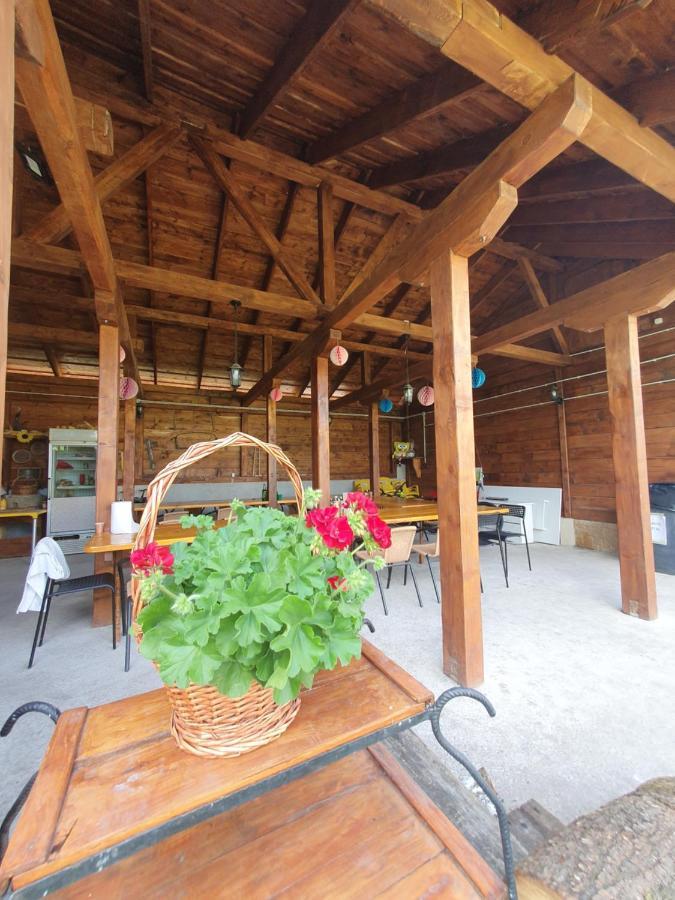 Ferienwohnung Casa Ana Cluj Exterior foto