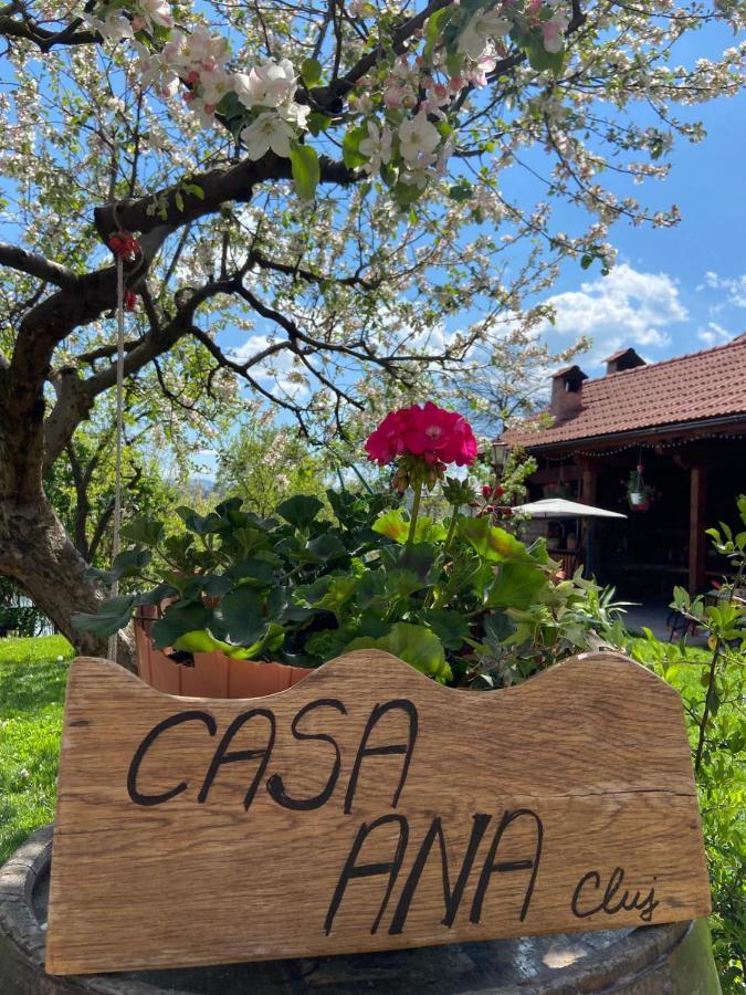 Ferienwohnung Casa Ana Cluj Exterior foto